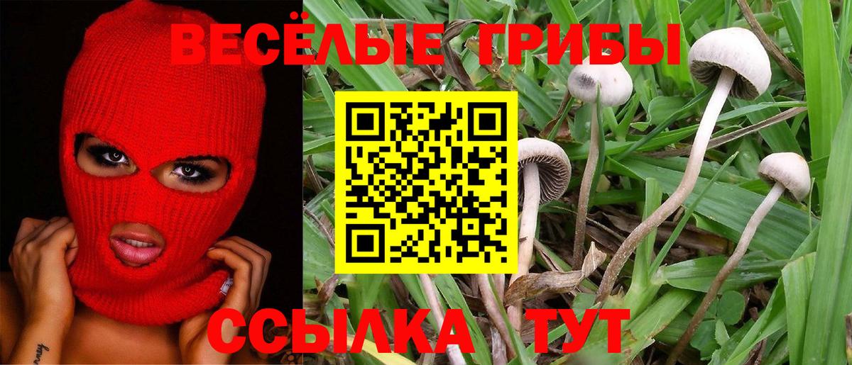 Галлюциногенные грибы GOLDEN TEACHER  Псилоцибиновые грибы Magic Shrooms  Вход с VPN  Рузаевка 